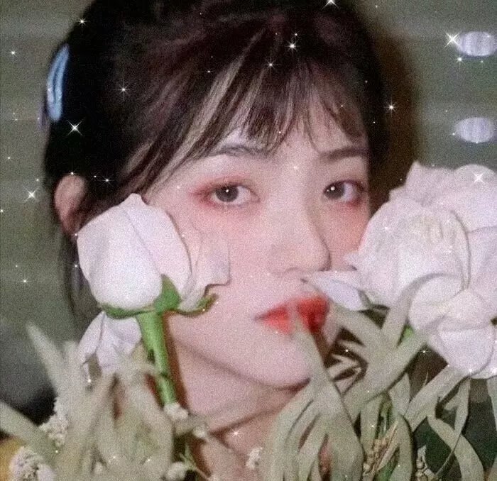 永恒代码