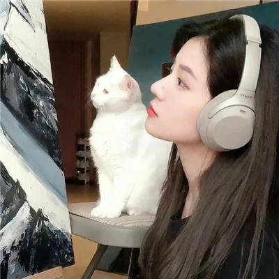 麻烦专家